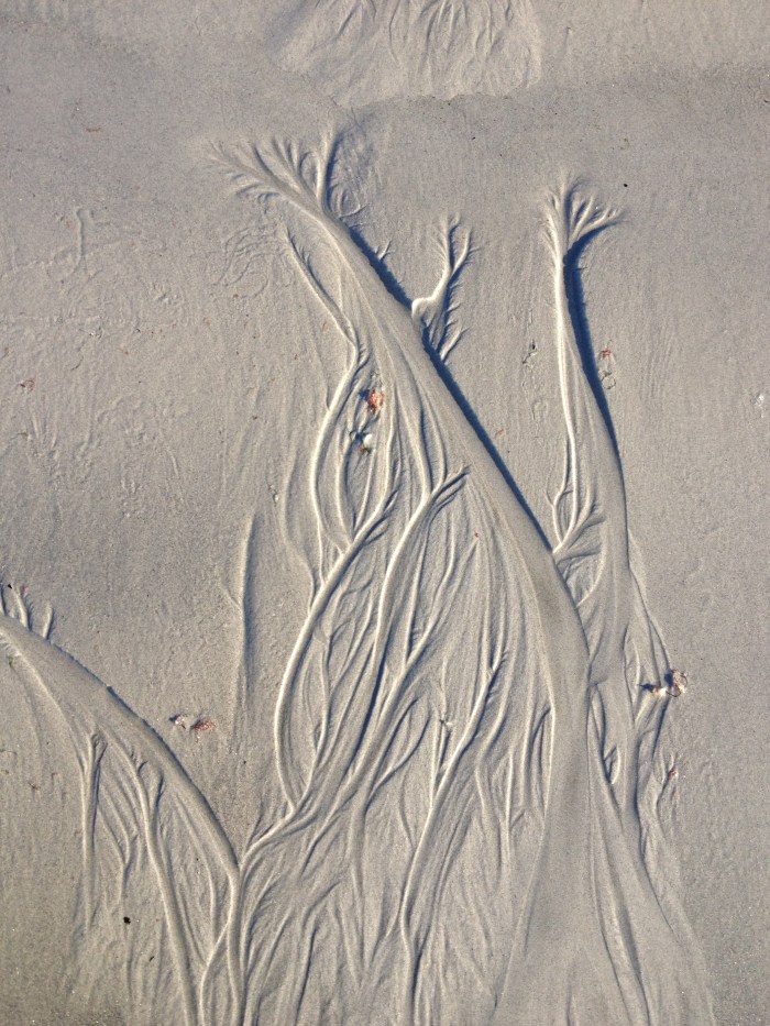 Sand art work from the coast of Maine