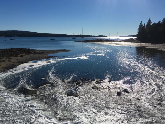 finding organizational zen