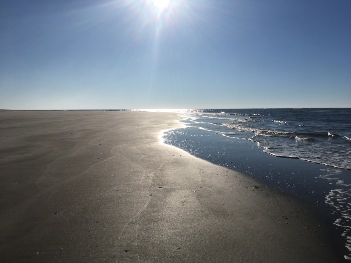 Grateful for the sun