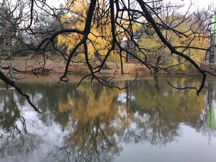 central-park-dec-2016