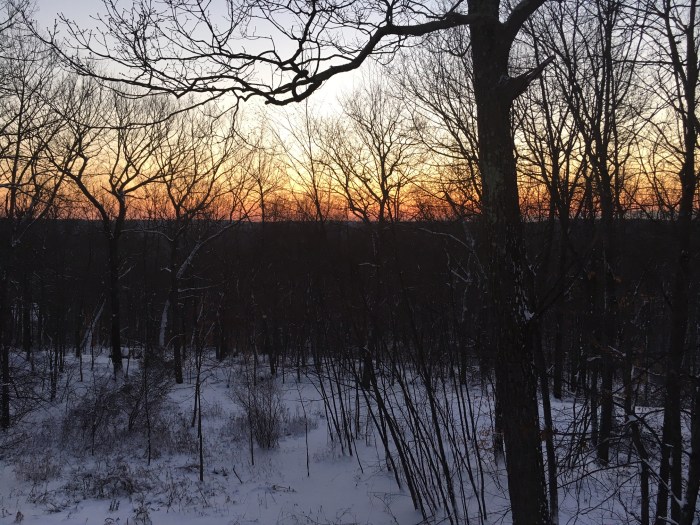 snowy sunrise in Connecticut