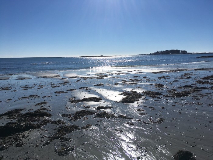 sun on a winter beach