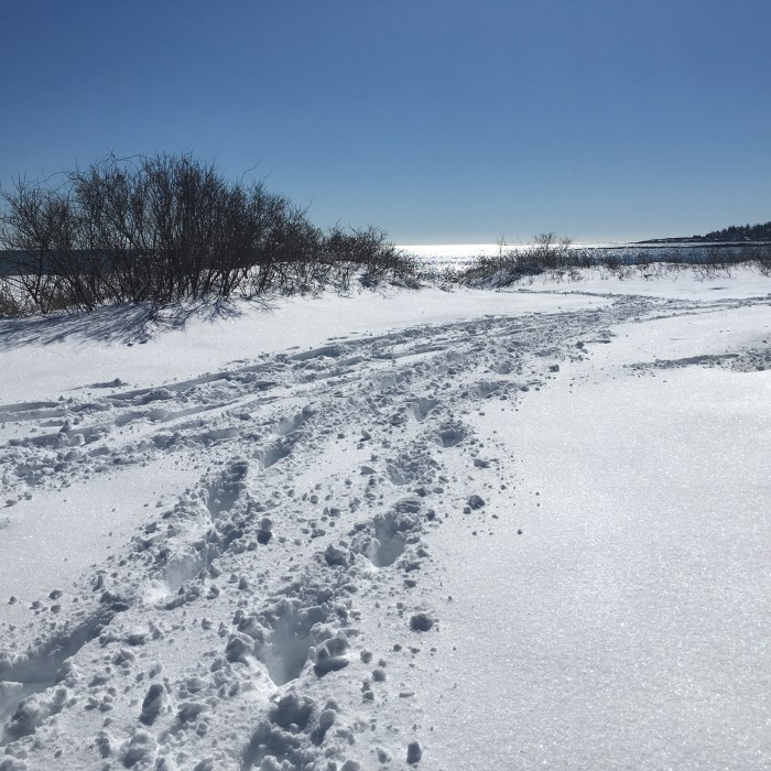 snow on the beach